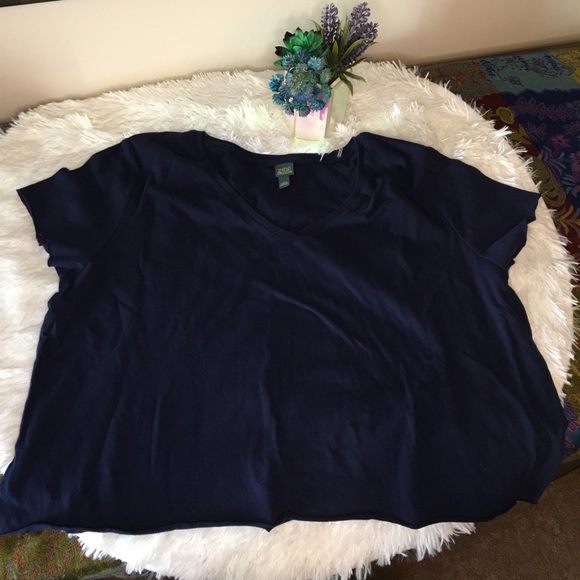 wild fable Tops - ❤️FINAL PRICE✨wild fable dark blue crop top✨